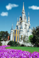 Magic Kingdom
